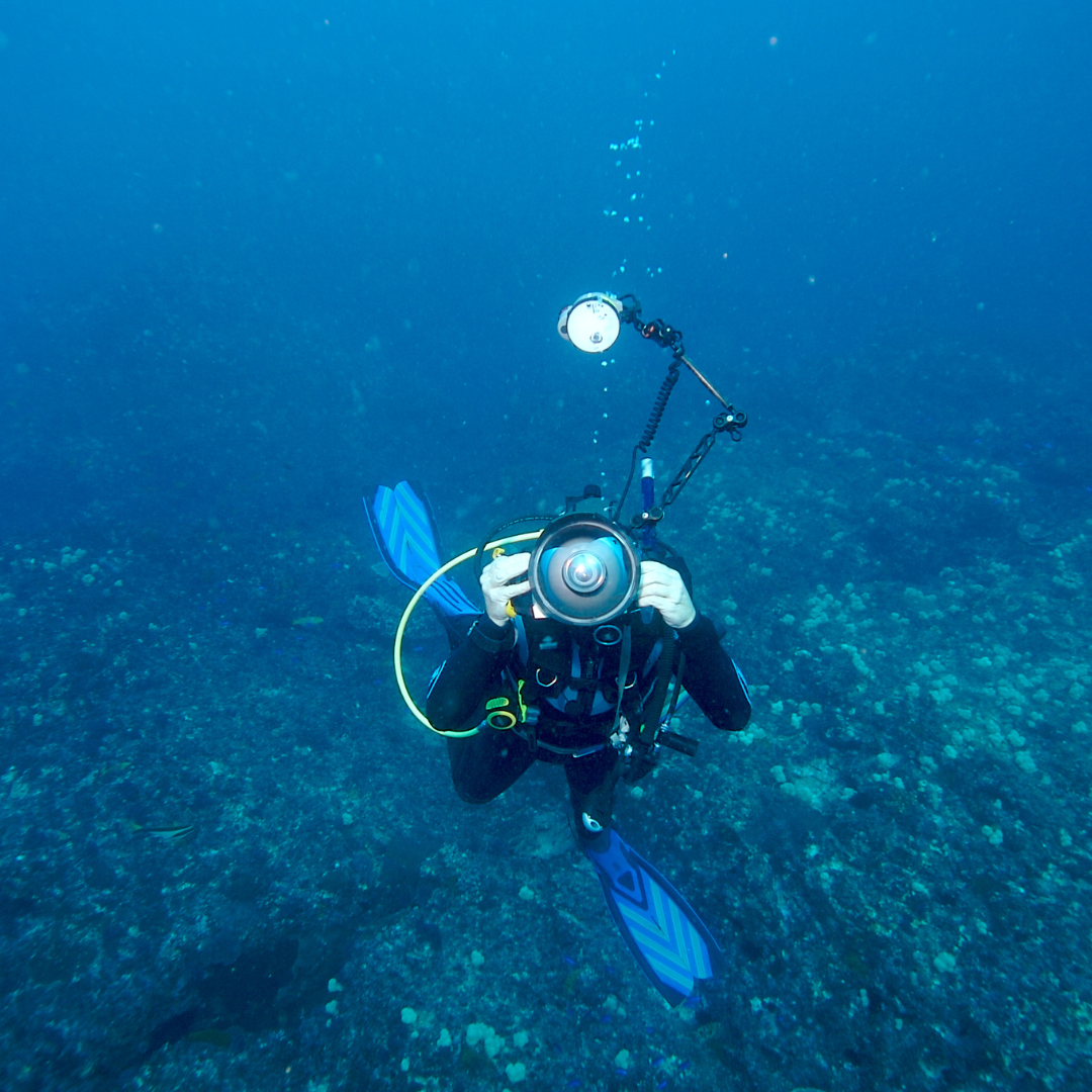 Fotos de Buceo en Pareja — Recuerdo Profesional para Dos - Image 2