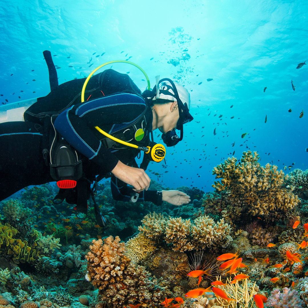 Fotos de Buceo en Pareja — Recuerdo Profesional para Dos - Image 11