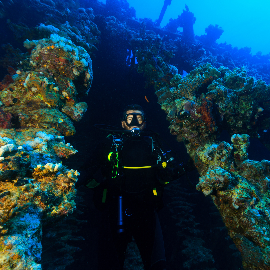 Wreck Dive — Buceo en Barco Hundido (2 Tanques) - Image 11