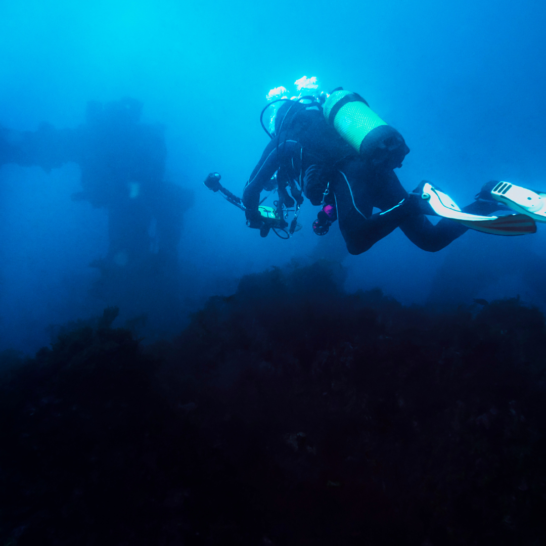 Fotos de Buceo en Pareja — Recuerdo Profesional para Dos - Image 3