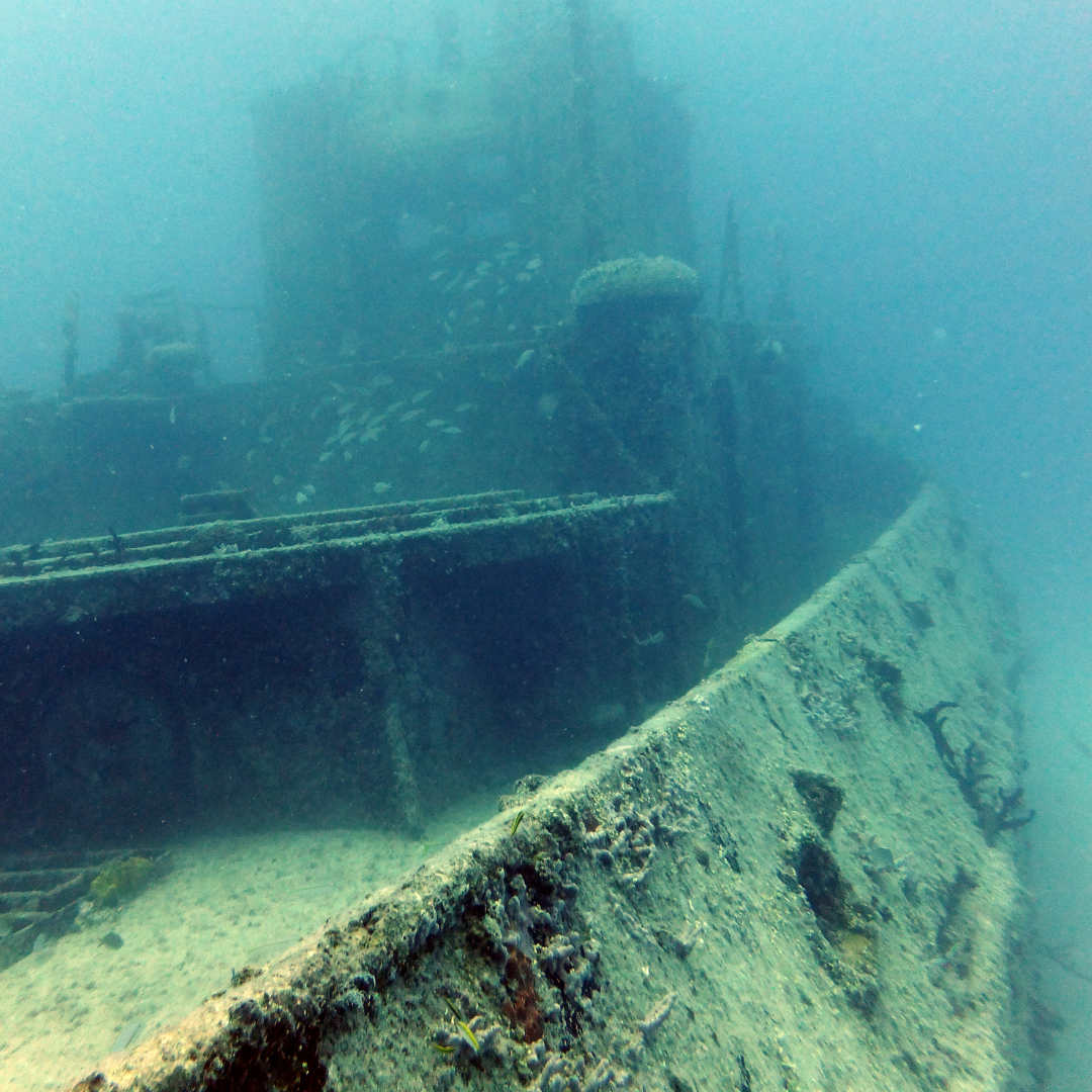 Wreck Dive — Buceo en Barco Hundido (2 Tanques) - Image 3