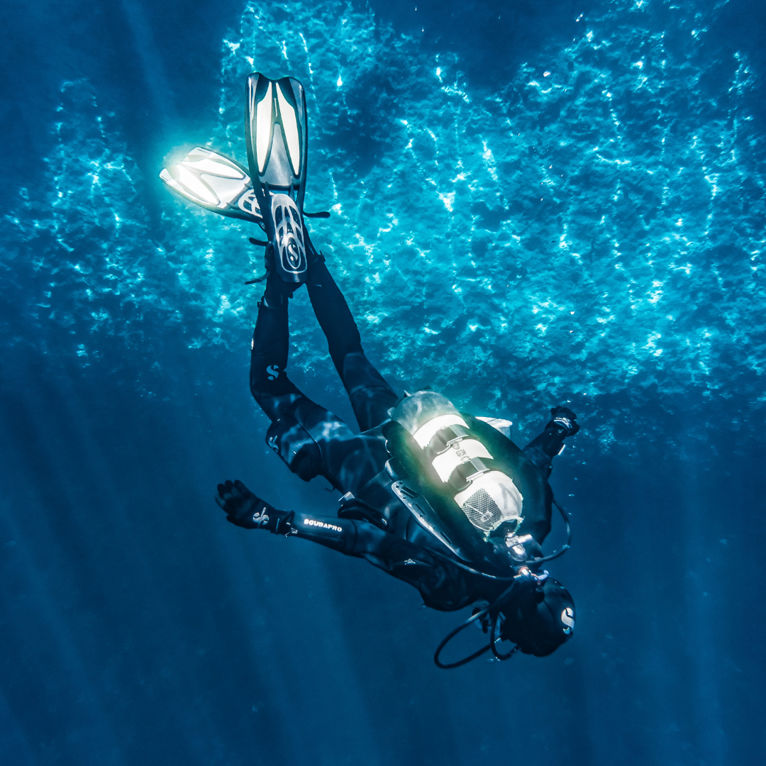 Fotos de Buceo en Pareja — Recuerdo Profesional para Dos - Image 4