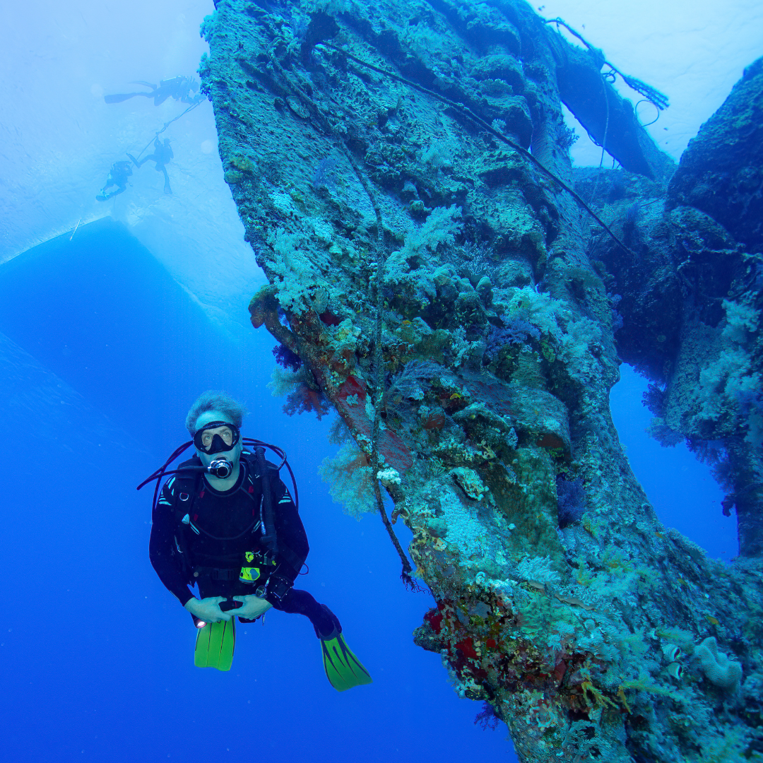 Wreck Dive — Buceo en Barco Hundido (2 Tanques) - Image 4