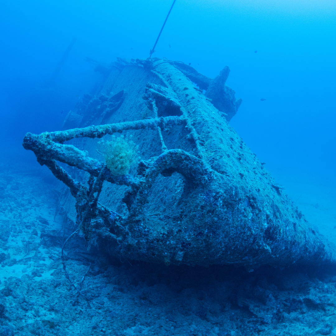 Wreck Dive — Buceo en Barco Hundido (2 Tanques) - Image 5