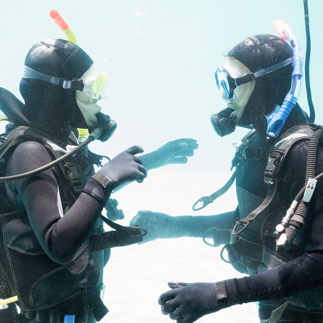Fotos de Buceo en Pareja — Recuerdo Profesional para Dos - Image 8