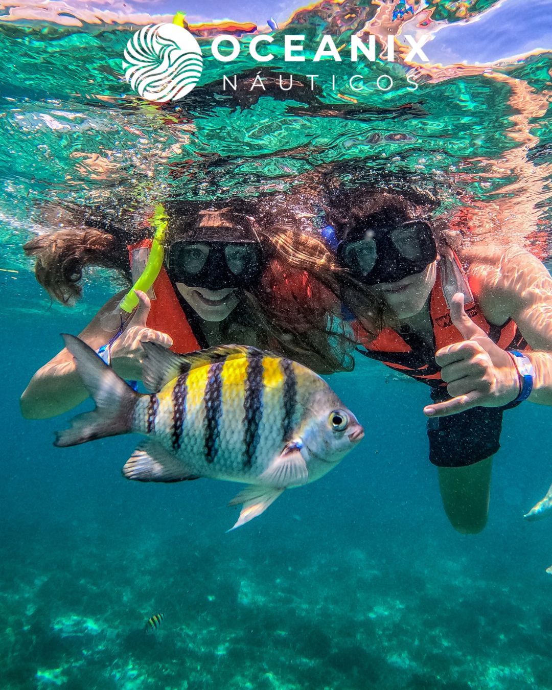 Catamarán a Isla Mujeres — Regular