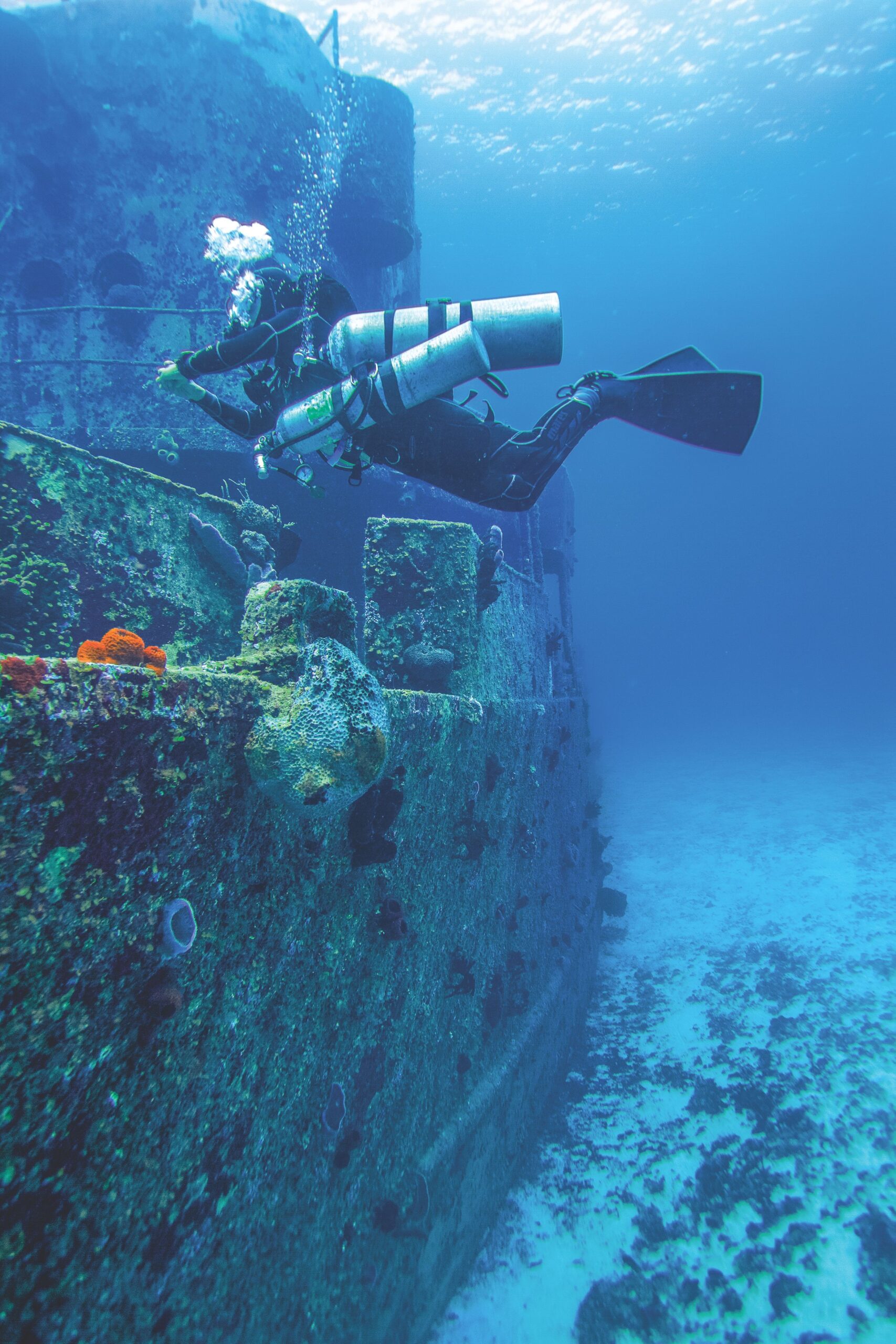Wreck Dive — Buceo en Barco Hundido (2 Tanques) - Image 18