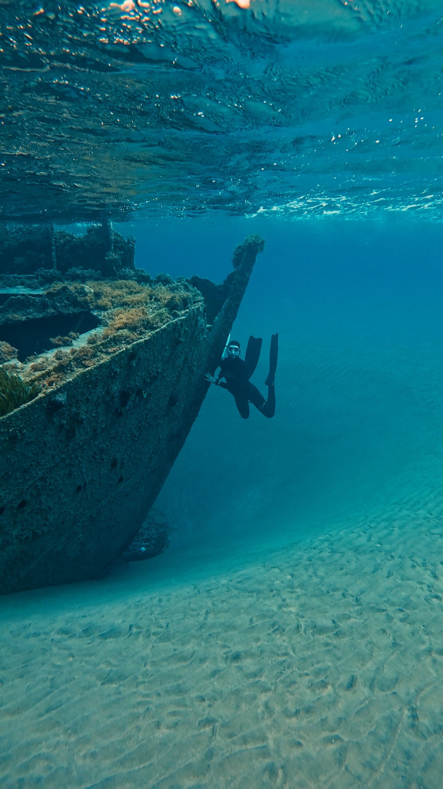 Wreck Dive — Buceo en Barco Hundido (2 Tanques) - Image 14