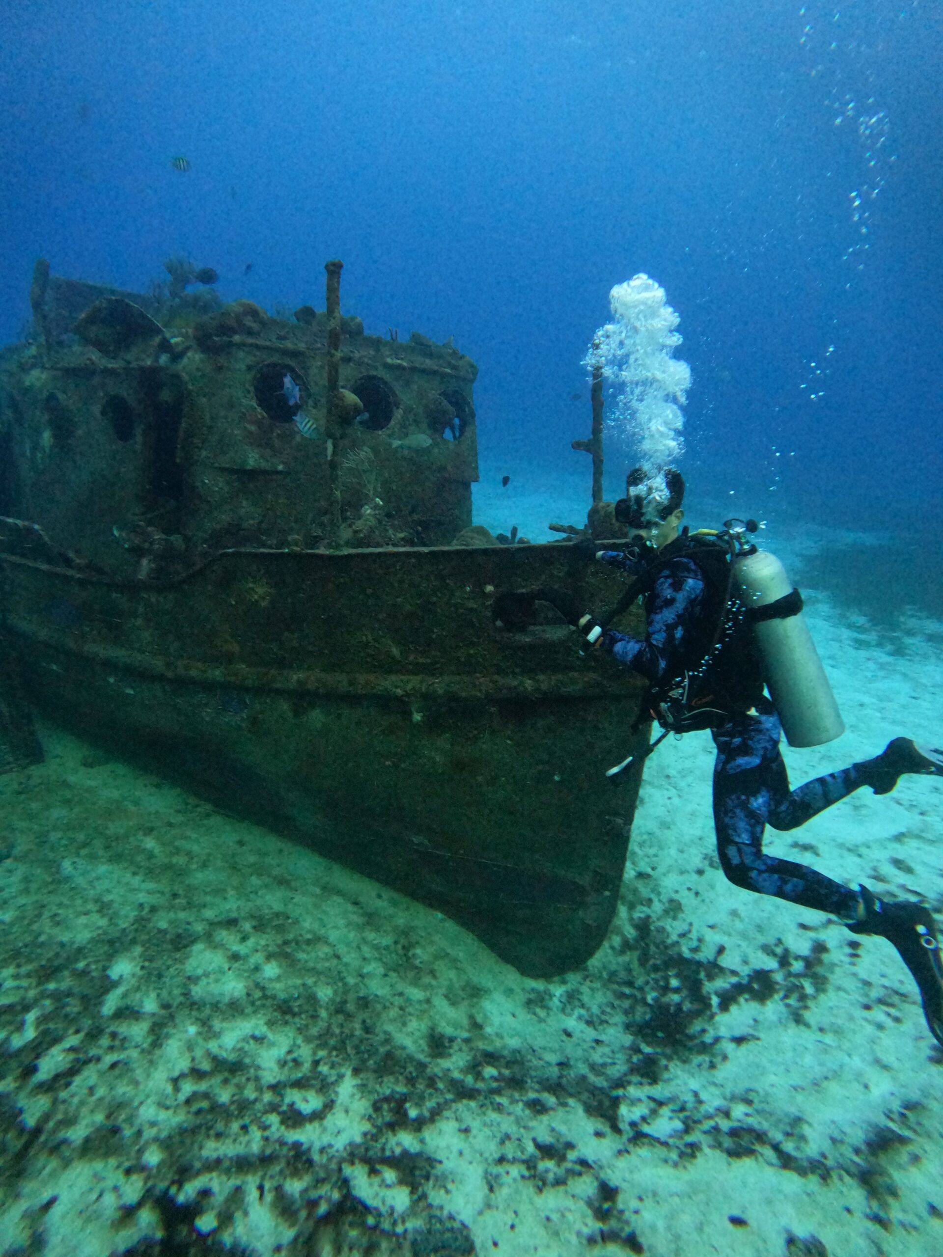 Wreck Dive — Buceo en Barco Hundido (2 Tanques) - Image 15