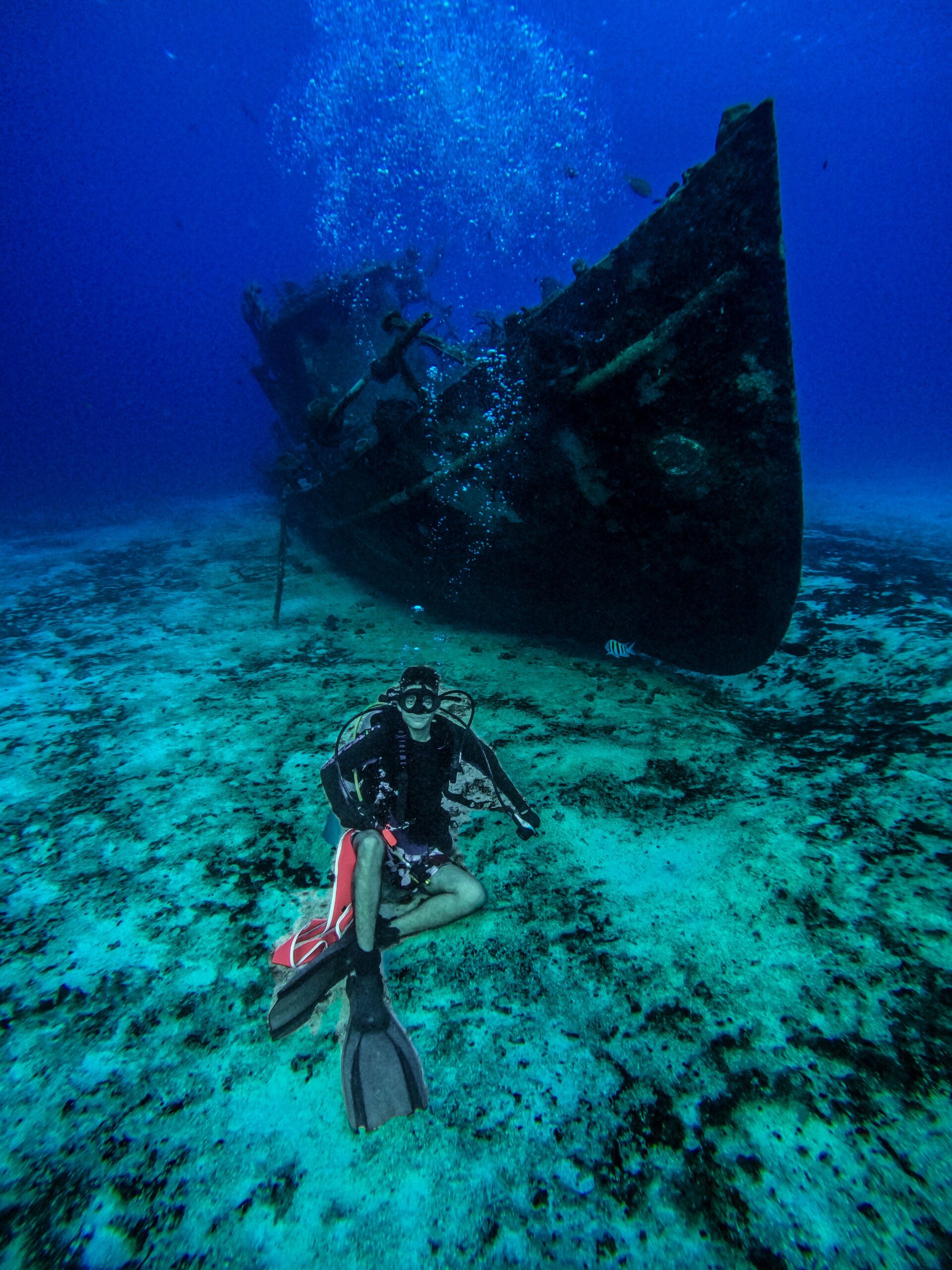 Wreck Dive — Buceo en Barco Hundido (2 Tanques) - Image 13