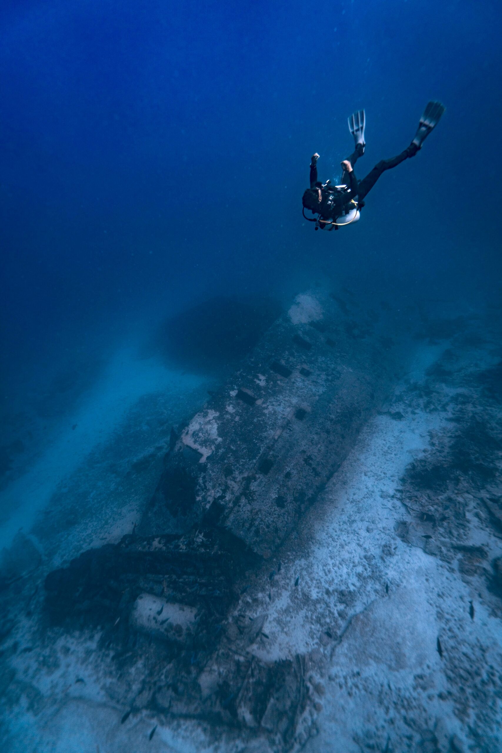 Wreck Dive — Buceo en Barco Hundido (2 Tanques) - Image 16