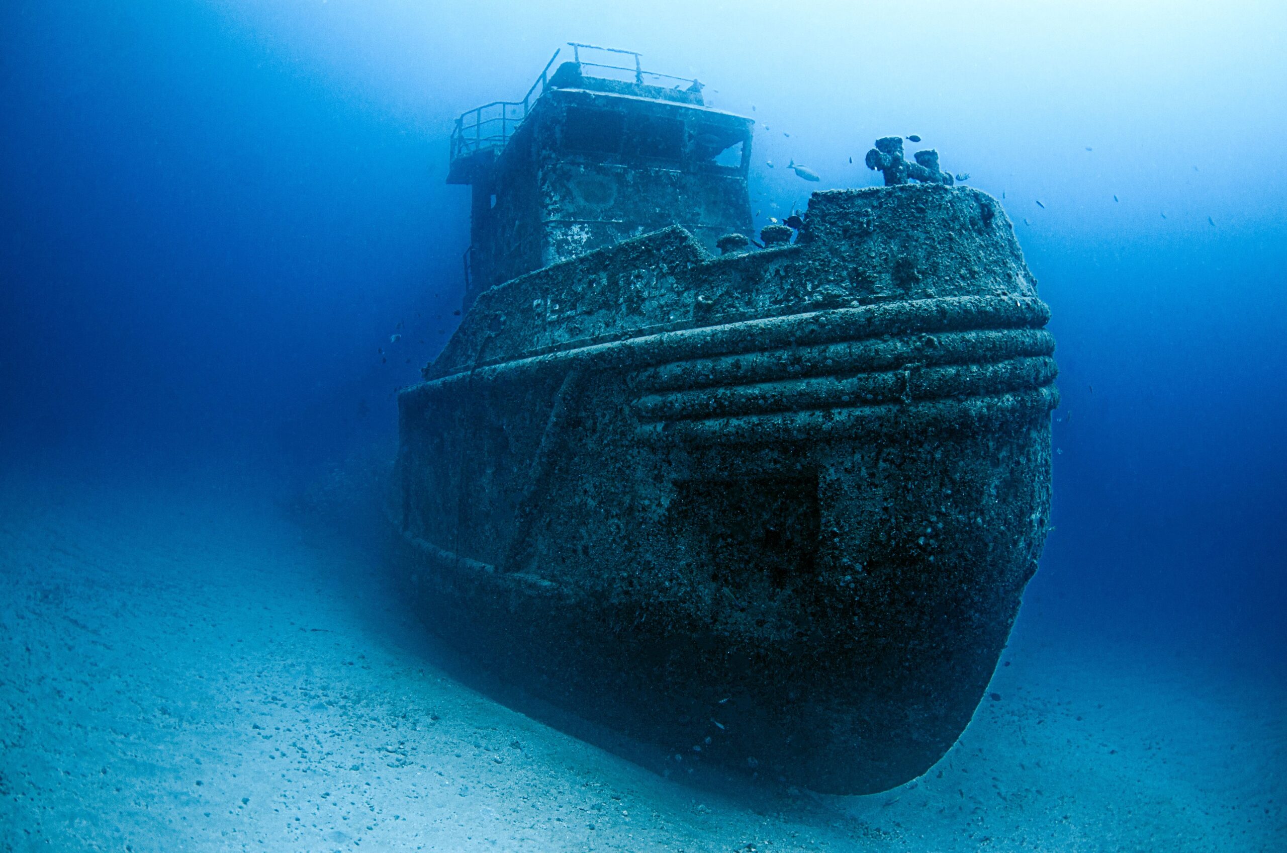 Wreck Dive — Buceo en Barco Hundido (2 Tanques) - Image 17