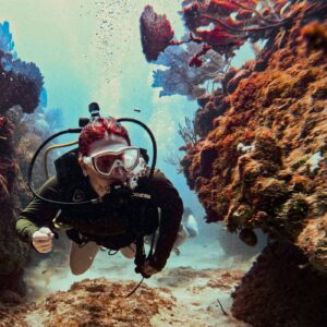 Discover Scuba Diving 2 Tanques — Doble Aventura para Principiantes