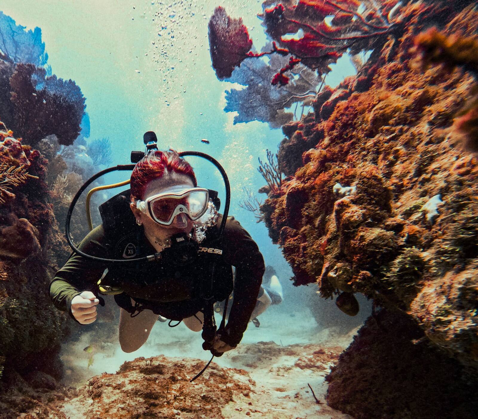 Discover Scuba Diving 2 Tanques — Doble Aventura para Principiantes